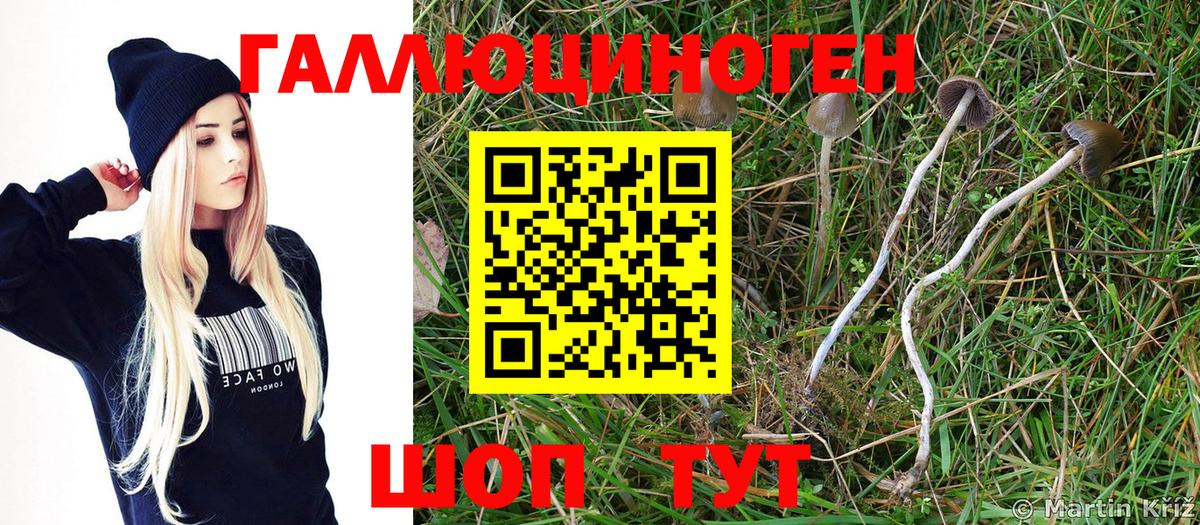 Галлюциногенные грибы Psilocybine cubensis  Вход с VPN  Псилоцибиновые грибы Magic Shrooms  Амурск 
