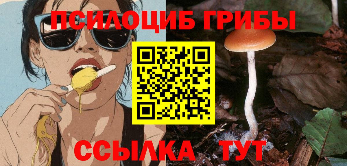 Галлюциногенные грибы Cubensis Амурск